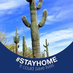 Meet your Posher, Lynn